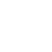 Camera Icon 2